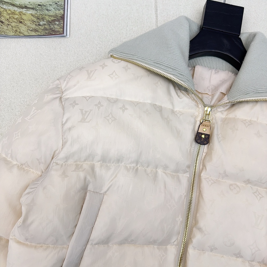 Louis Vuitton Down Jackets